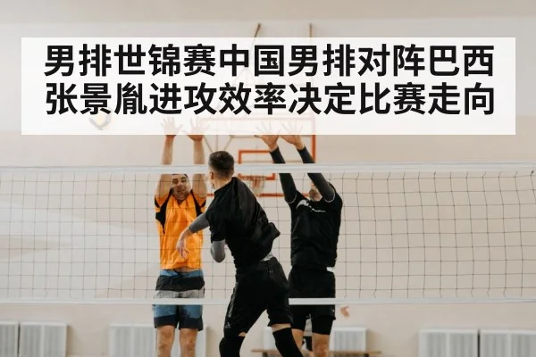volleyball block net